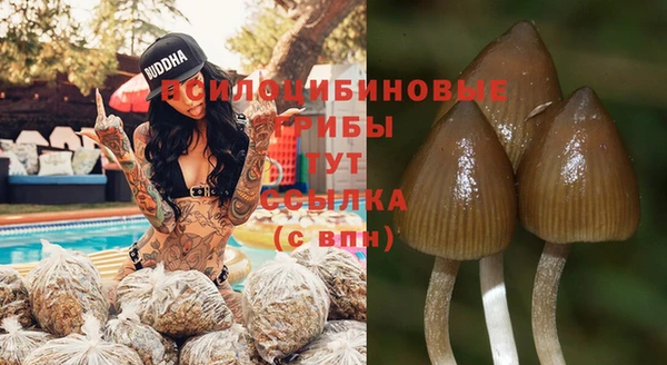 a pvp Алзамай