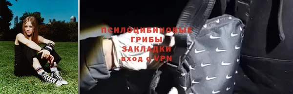ешки Алексеевка