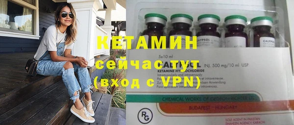 прущие грибы Армянск