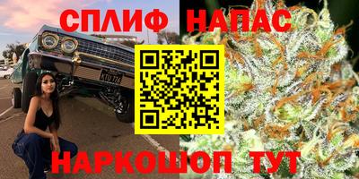 СК Коммунар