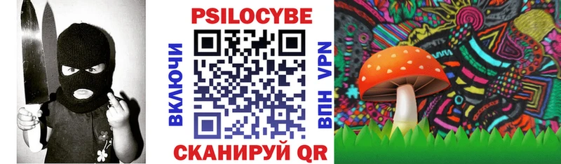Псилоцибиновые грибы Psilocybine cubensis  Петропавловск-Камчатский 