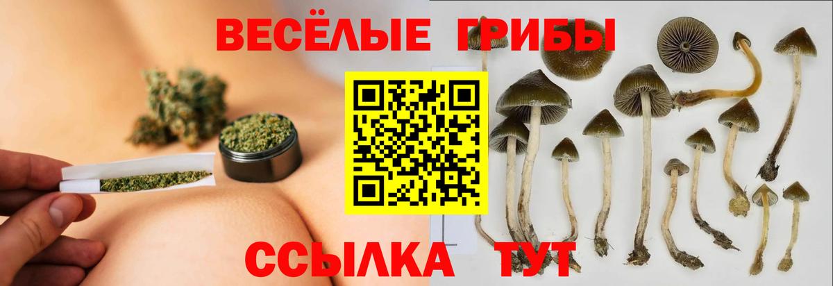Псилоцибиновые грибы MAGIC MUSHROOMS Петропавловск-Камчатский